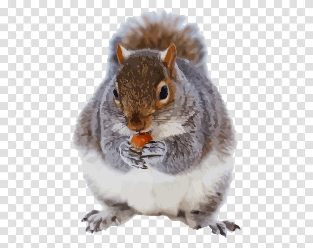 Ground Squirrelssnoutsquirrel Animales De Frio, Eating, Food, Birthday Cake, Dessert Transparent Png