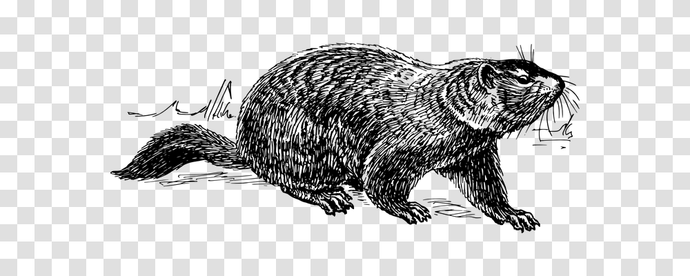 Groundhog Technology, Gray, World Of Warcraft Transparent Png