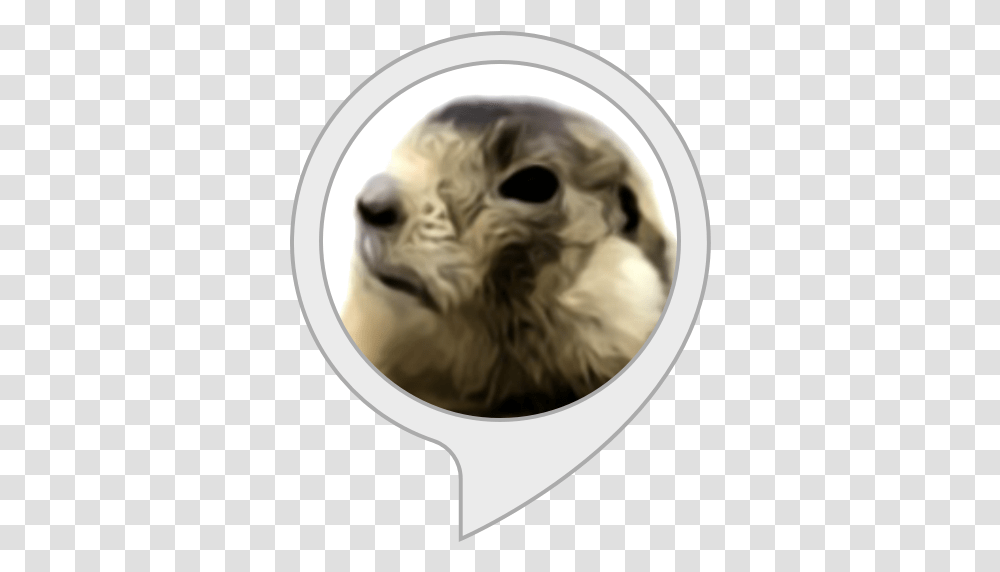 Groundhog Joystick Vector, Dog, Animal, Mammal, Head Transparent Png