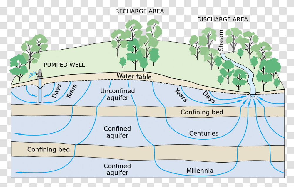Groundwater Flow Groundwater Flow, Vegetation, Plant, Nature, Plot Transparent Png