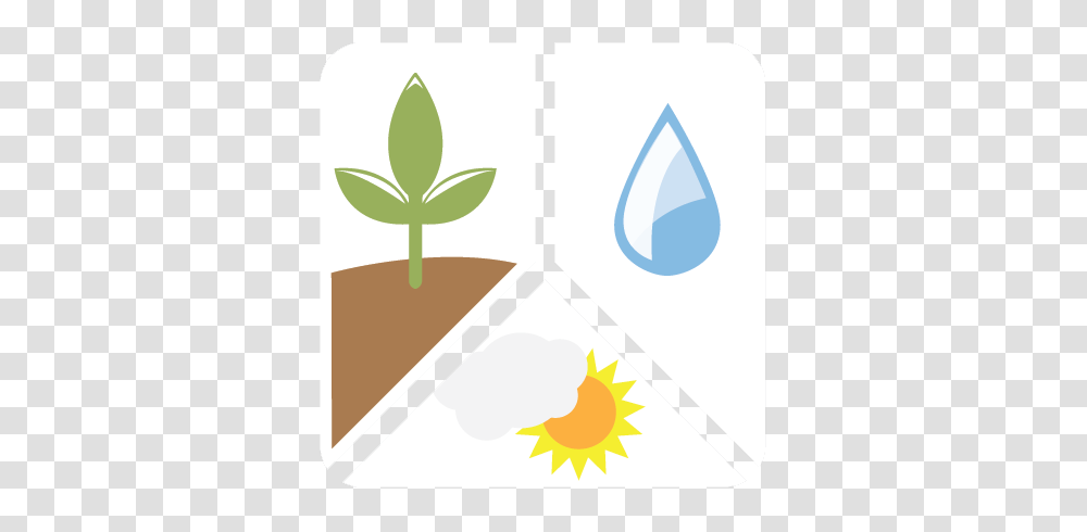 Groundwater Productivity, Plant, Droplet, Flower, Blossom Transparent Png