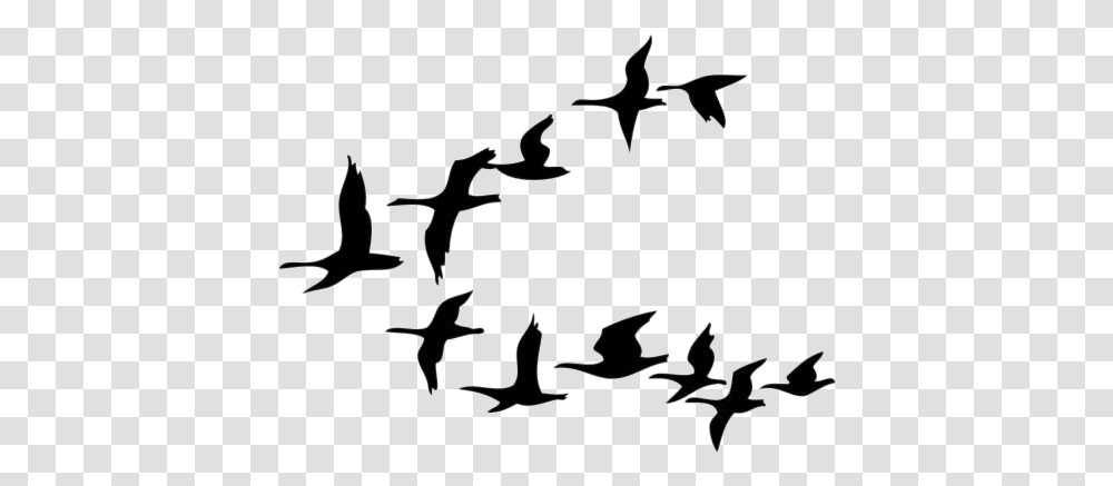 Group Of Birds Images Cartoon Birds Flying, Outdoors, Nature, Crowd Transparent Png