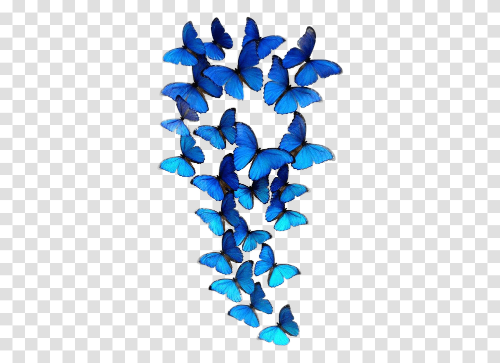 Group Of Blue Butterflies, Plant, Petal, Flower, Butterfly Transparent Png
