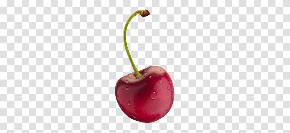 Group Of Cherries, Plant, Fruit, Food, Cherry Transparent Png