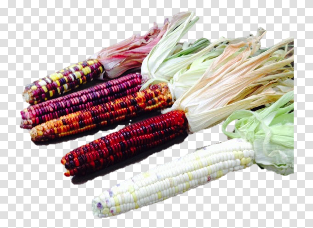 Group Of Corn Leaf Vegetable, Plant, Food, Produce, Grain Transparent Png