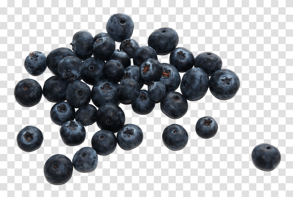 Group Of Fresh Bueberries Image, Fruit, Blueberry, Plant, Food Transparent Png
