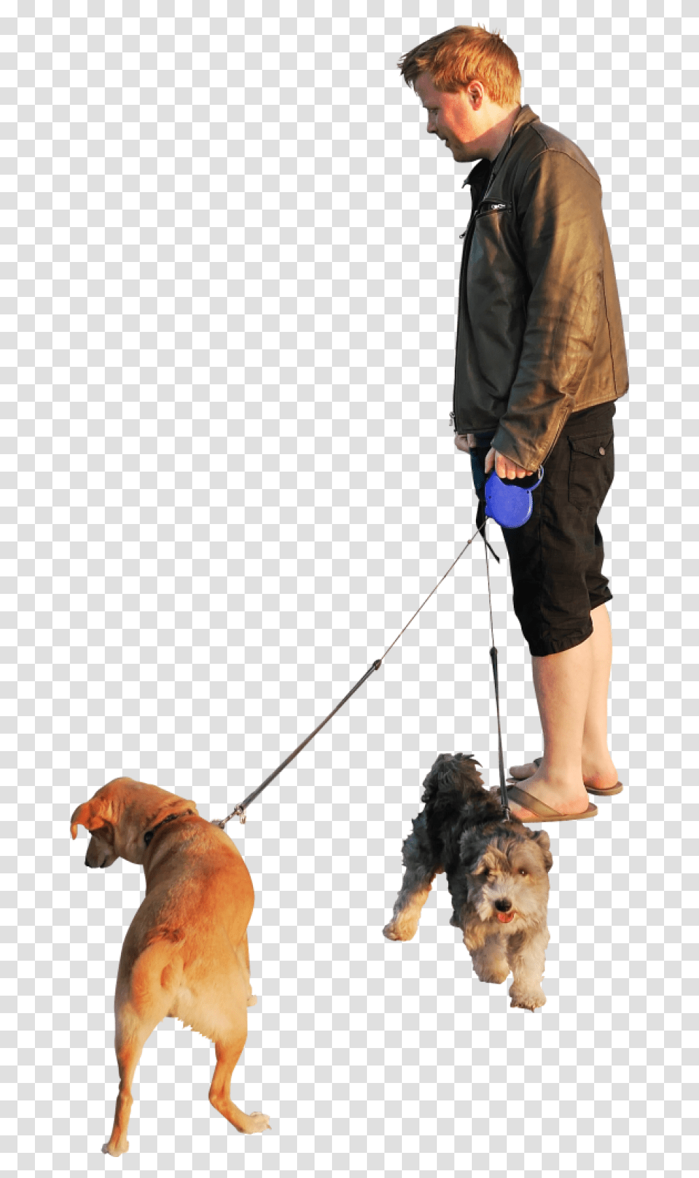 Group Of People Walking Dog Background, Person, Strap, Pet Transparent Png