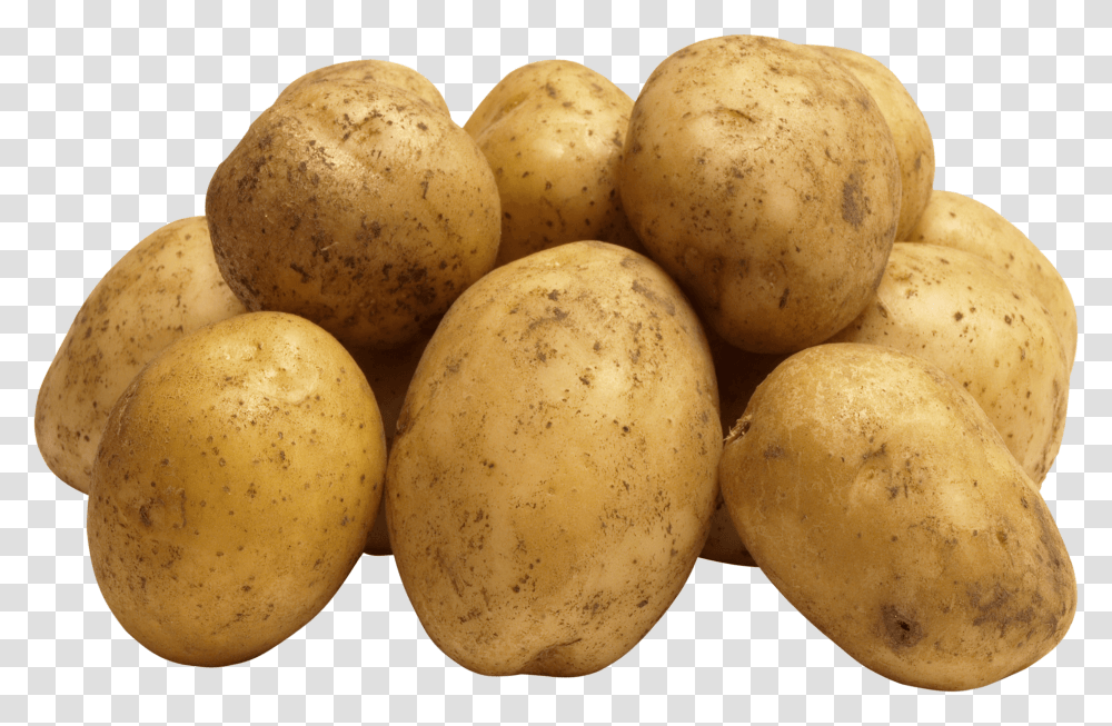 Group Of Potatoes Potato, Vegetable, Plant, Food, Bread Transparent Png