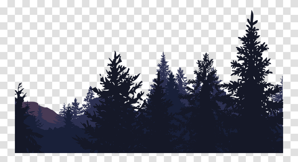 Group Of Trees Kids Camp, Plant, Fir, Nature, Outdoors Transparent Png