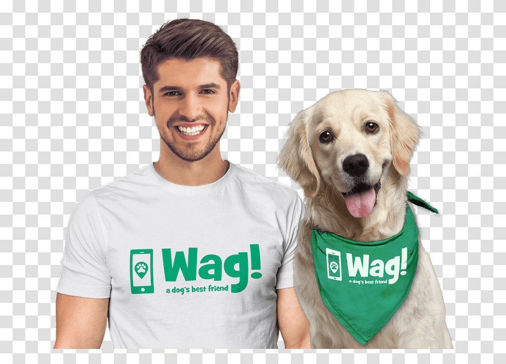 Group People Walking Wag Dog Walking 32909 Vippng Golden Retriever 10 Months Old, Clothing, Apparel, Person, Human Transparent Png