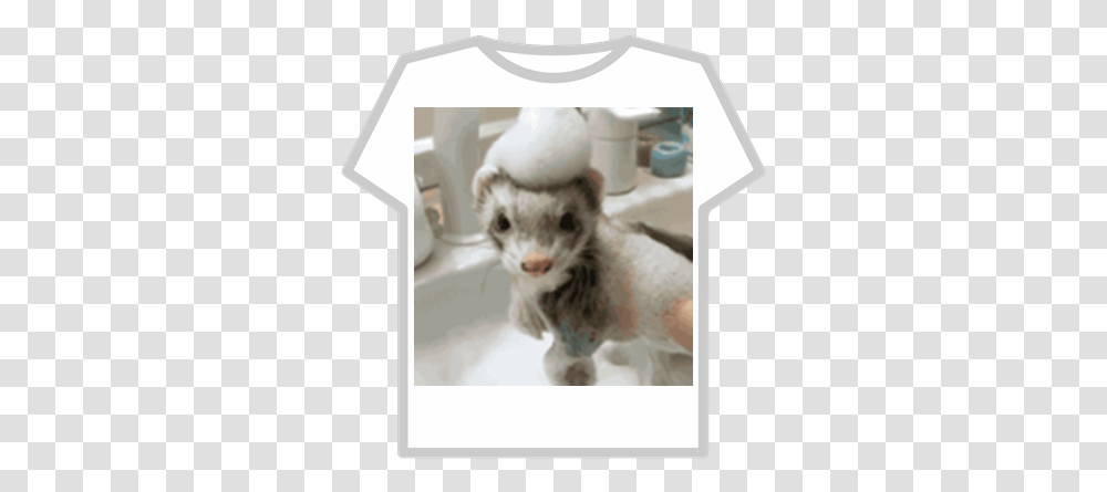 Group Picture Cute Ferret Roblox Roblox Clever Cover T Shirt, Mammal, Animal, Weasel, Wildlife Transparent Png