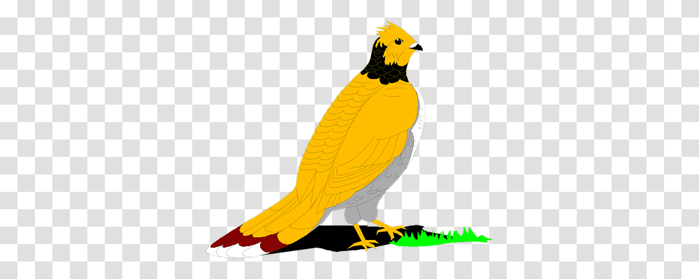 Grouse Animals, Bird, Finch, Canary Transparent Png