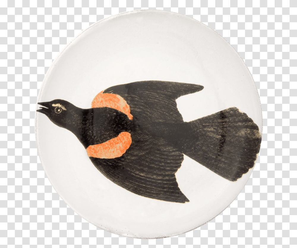 Grouse, Bird, Animal, Blackbird, Agelaius Transparent Png