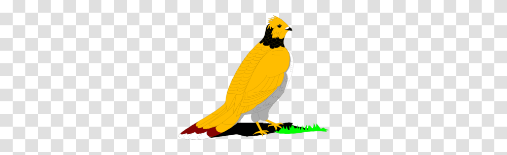 Grouse Cliparts, Bird, Animal, Finch, Canary Transparent Png