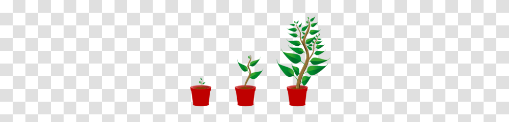 Grow Clipart, Plant, Aloe, Leaf Transparent Png