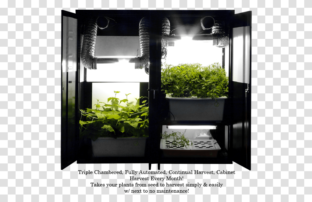 Grow Closet, Interior Design, Water, Outdoors, Plant Transparent Png