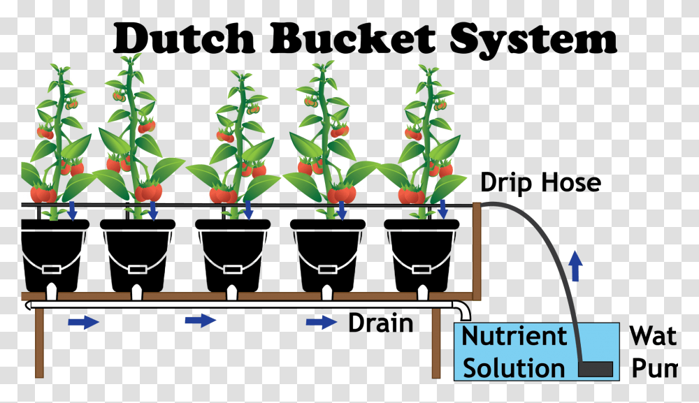 Grow Dutch Bucket System, Crowd, Plant, Acrobatic, Marching Transparent Png