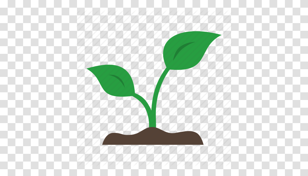 Grow Leaf Organic Plant Sprout Sprouting Icon, Green, Flower, Bud, Petal Transparent Png