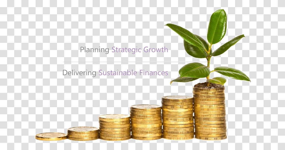 Grow Money, Coin, Leaf, Plant Transparent Png