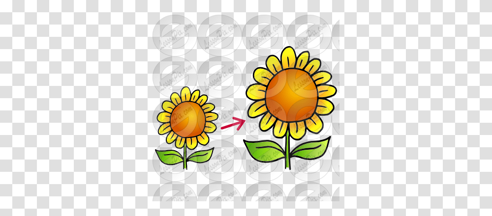 Grow Picture For Classroom Therapy Use, Plant, Floral Design Transparent Png