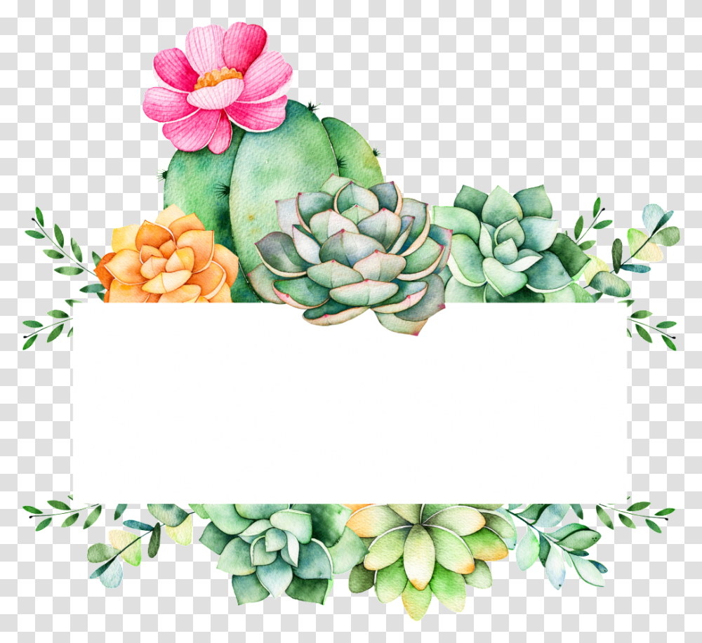 Grow Plants Cartoon Cactus Succulent Background, Potted Plant, Vase, Jar, Pottery Transparent Png