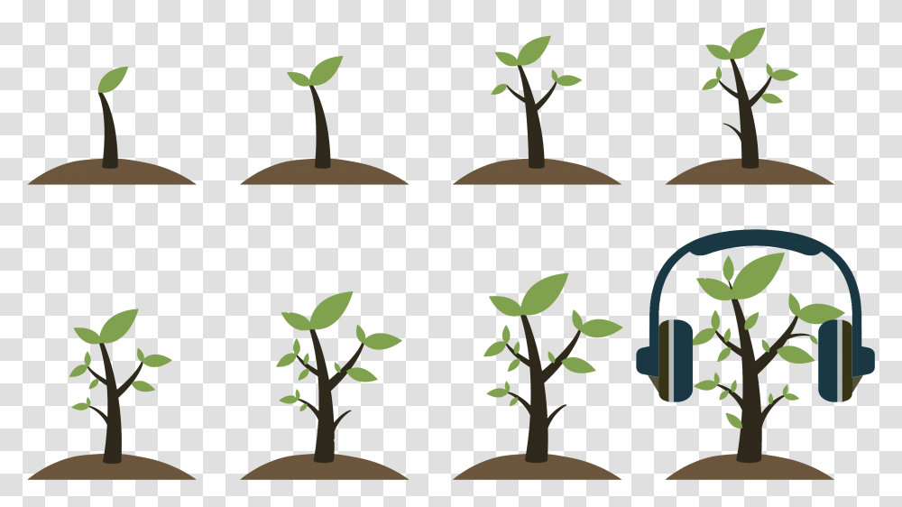 Grow Up Plant, Tree, Leaf, Potted Plant, Vase Transparent Png