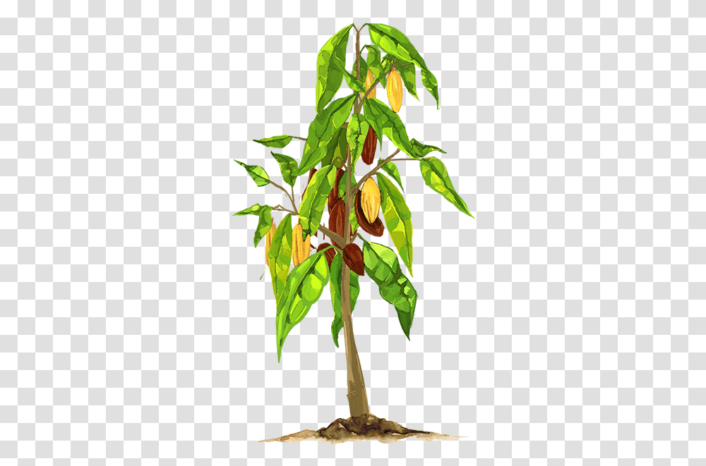 Grow Your Own Tree Lindt & Sprngli Chocolate Tree Background, Leaf, Plant, Annonaceae, Vegetation Transparent Png