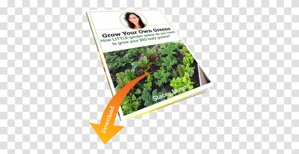 Grow Your Own Vegetables Discover The Garden Style That's Mustard Greens, Plant, Kale, Cabbage, Food Transparent Png
