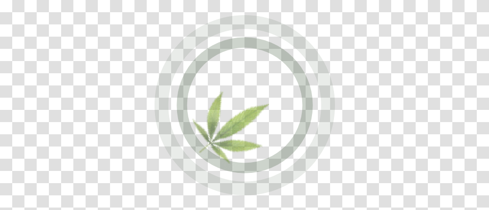 Growers Guide To Cannabis Illustration, Plant, Weed, Rug, Vegetation Transparent Png