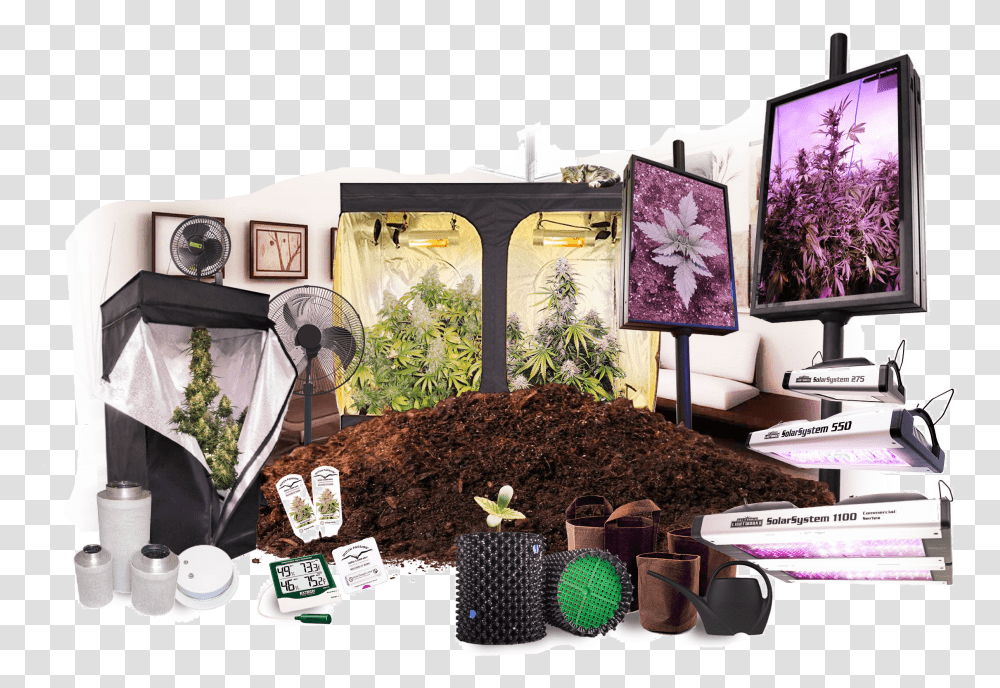 Growing Cannabis Indoors Orchid, Plant, Collage, Poster, Advertisement Transparent Png