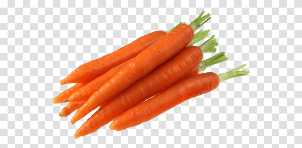 Growing Carrots How To Plant Care For Pick Carrots Sproutabl, Vegetable, Food, Hot Dog Transparent Png