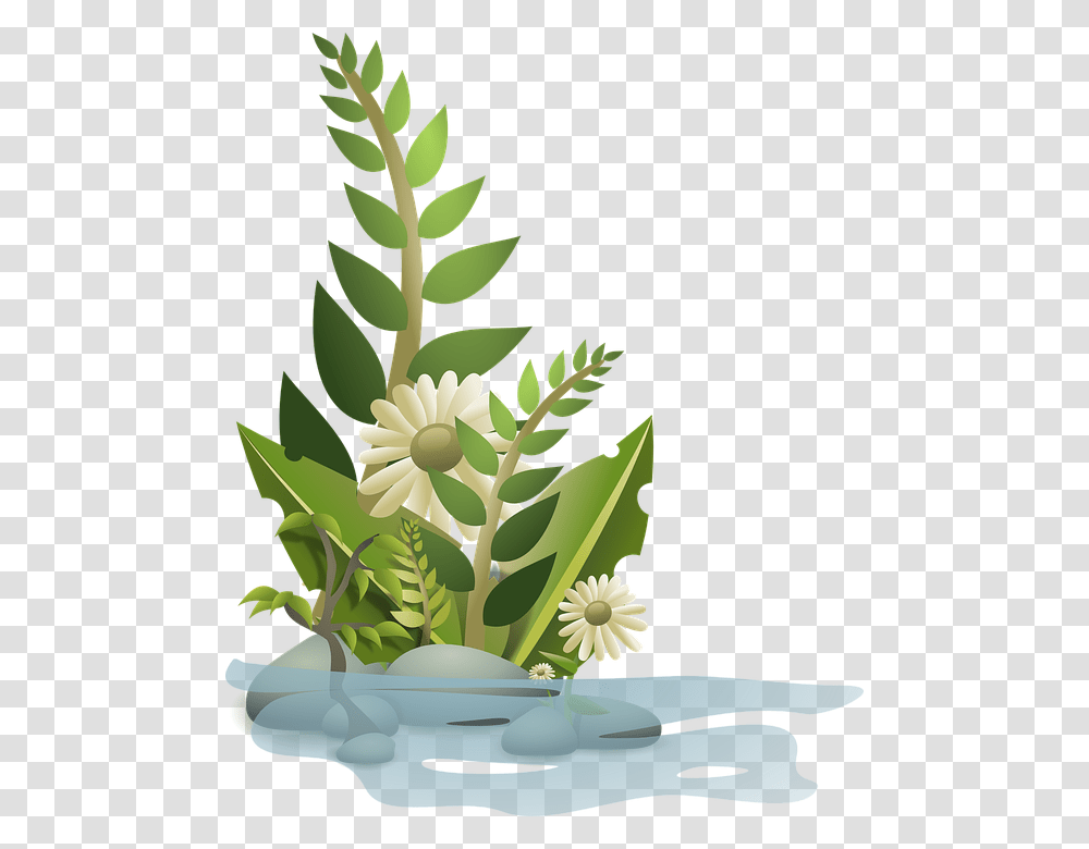 Growing Clipart Plant Clip Art, Tree, Flower, Pattern, Floral Design Transparent Png