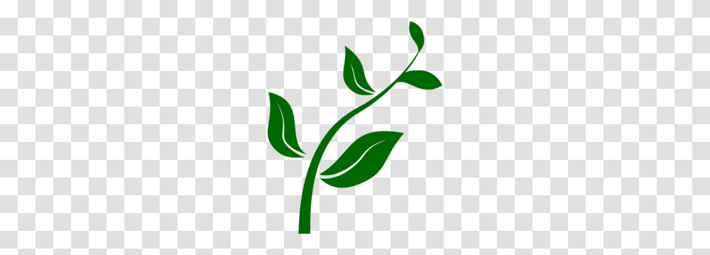 Growing Plant Clip Art Graphic Ornaments, Leaf, Green, Vase, Jar Transparent Png