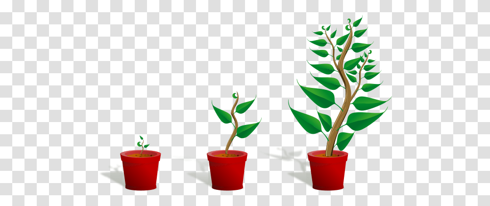 Growing Plant Clipart, Leaf, Soil, Pottery, Vase Transparent Png