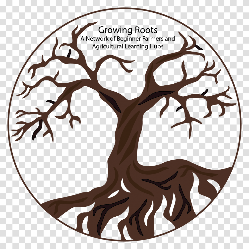 Growing Roots Logo Illustration, Wood, Animal, Reptile, Painting Transparent Png