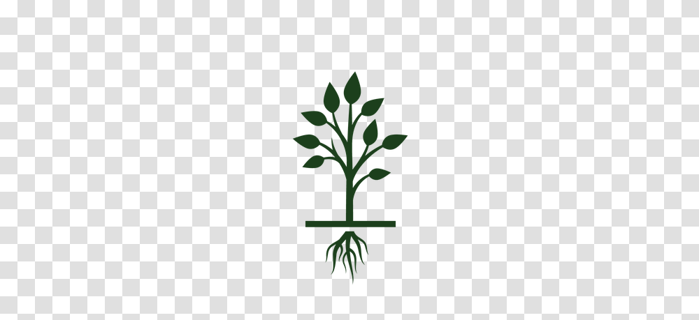 Growing Tree Clip Art Free Cliparts, Plant, Food, Vegetable, Root Transparent Png