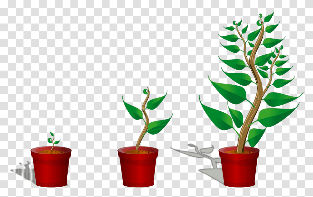 Growing Trees Clip Art Icon And Svg Getting To Know Plants, Leaf, Soil, Bucket, Pot Transparent Png