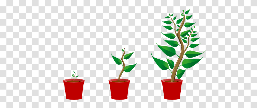 Growing Trees Clip Art, Plant, Leaf, Aloe, Sprout Transparent Png