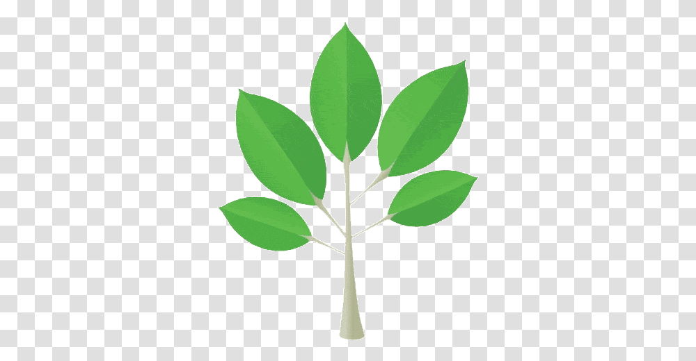 Growing Treesvg2 - Supernatural Brand Animated Small Tree Cartoon, Leaf, Plant, Green, Pottery Transparent Png