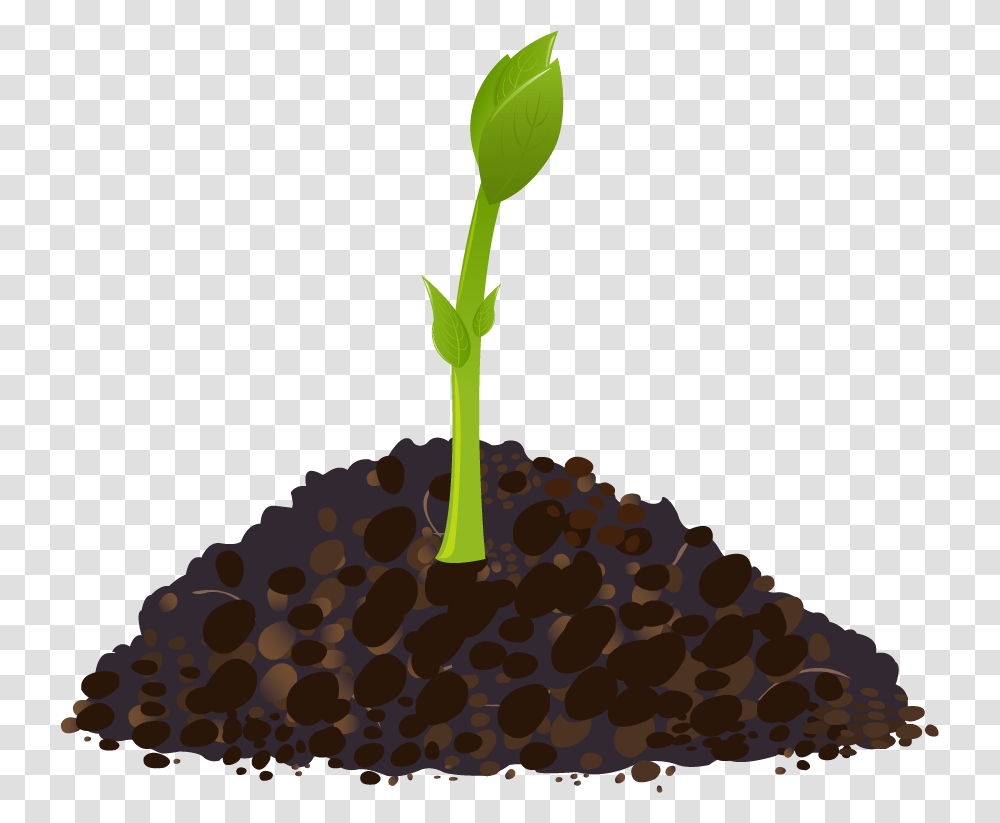 Grows And Develops Biology, Plant, Sprout, Soil Transparent Png