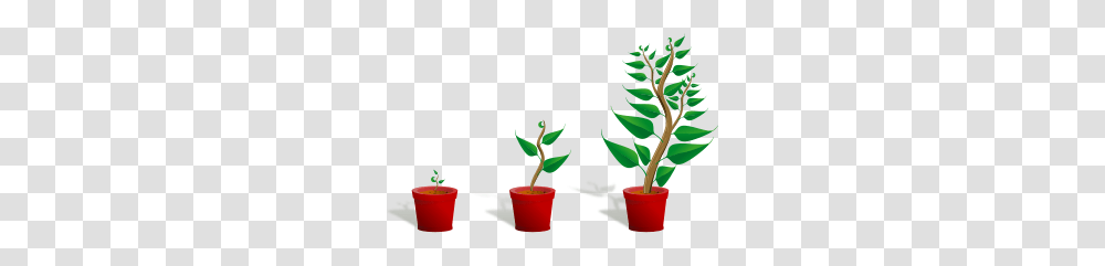 Growth Clipart, Plant, Tin, Can, Watering Can Transparent Png