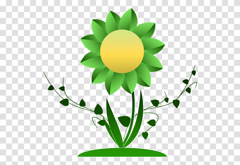 Growth Flower Plant Ranke Climber Plant Green Donazione Del Sangue, Blossom, Daisy, Daisies, Sunflower Transparent Png