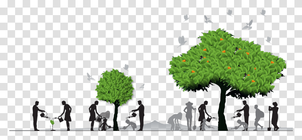 Growth Of Tree, Person, Bird, Animal, Plant Transparent Png