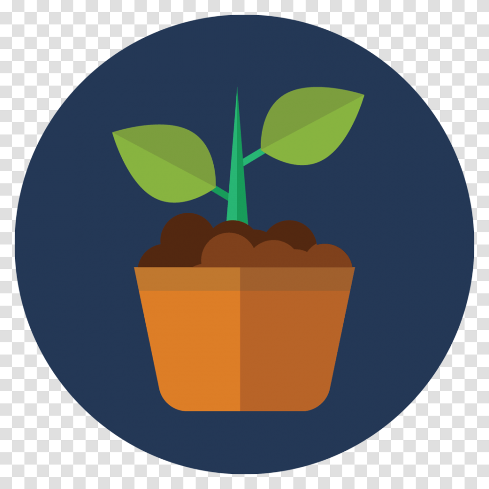 Growth, Plant, Fruit, Food, Vegetation Transparent Png