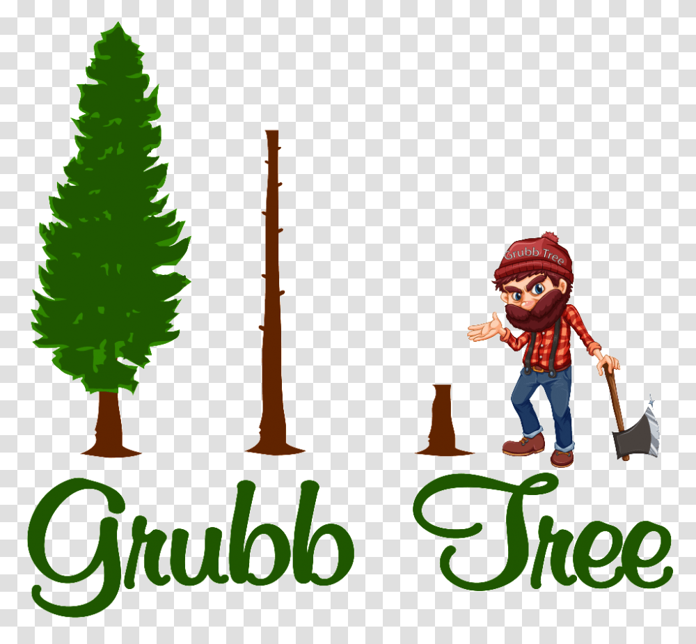 Grubb Tree, Plant, Person, Outdoors, Fir Transparent Png