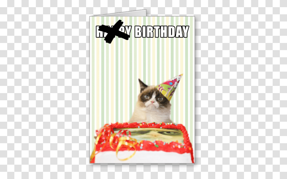 Grumpy Cat Birthday Card Grumpy Cats Birthday, Apparel, Party Hat, Pet Transparent Png