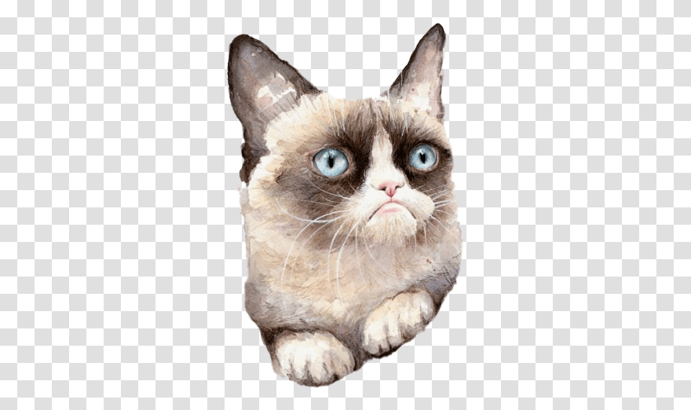 Grumpy Cat Clipart Grumpy Cat Watercolor, Pet, Animal, Mammal, Abyssinian Transparent Png