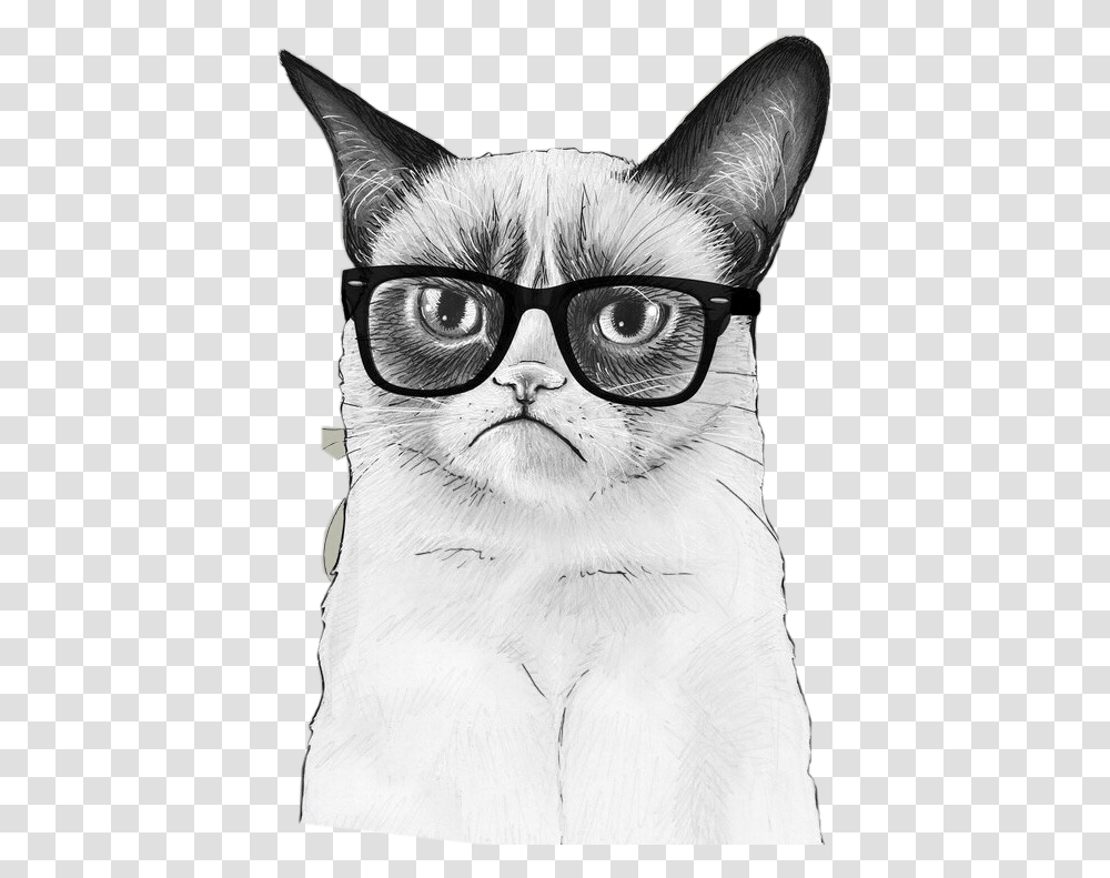 Grumpy Cat, Drawing, Person, Human Transparent Png