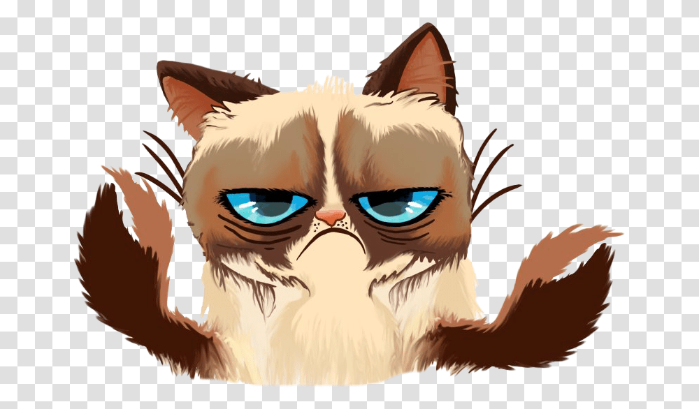 Grumpy Cat Face Image Grampi Ket, Pet, Animal, Mammal, Person Transparent Png