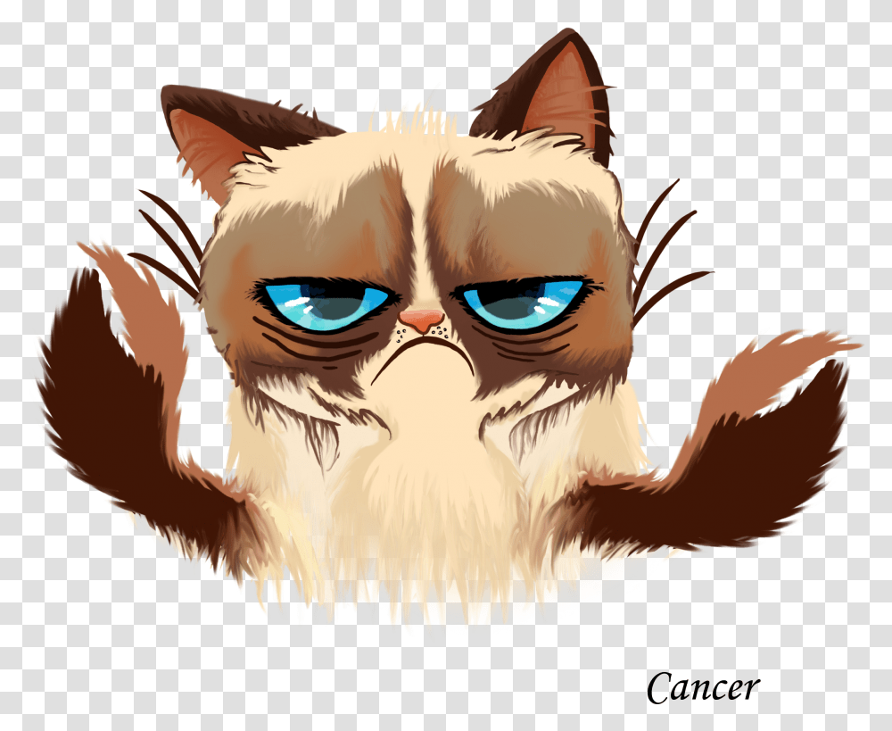 Grumpy Cat Kitten Cats And The Internet Grumpy Cat Free Vector, Pet, Animal, Mammal, Glasses Transparent Png